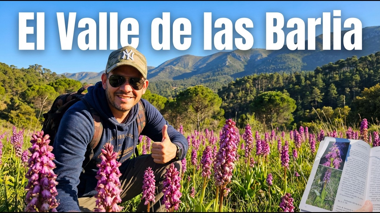 🌸NO VAS A CREER lo que encontré en este Valle 😱 Orquídeas RARAS #OrquideasSilvestres