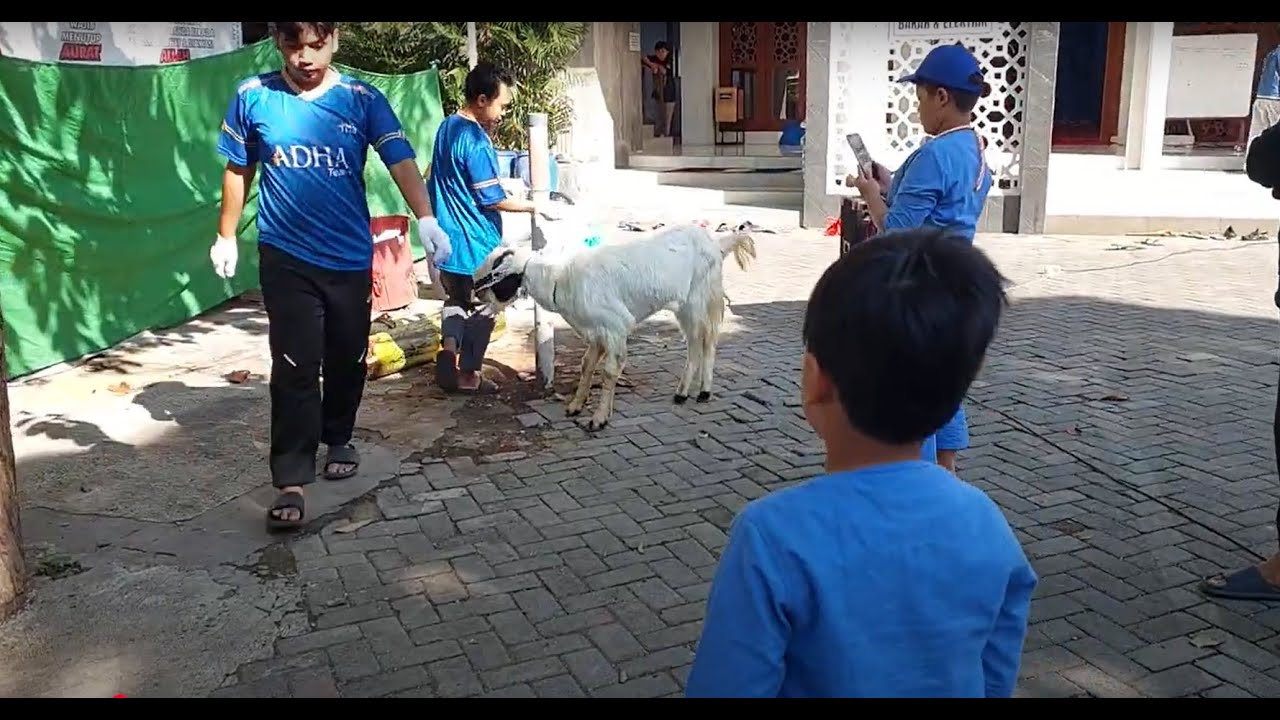 Idul Adha 2025. Saatnya penyembelihan hewan kurban.