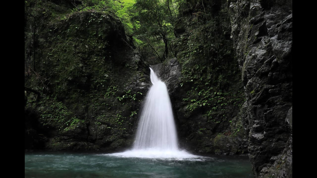 重信川源流域　後編（阿歌古渓谷　遡行）