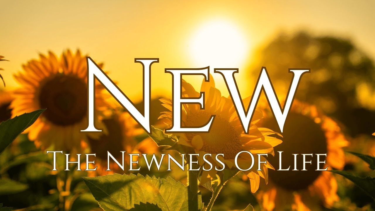 NEW: The Newness of Life