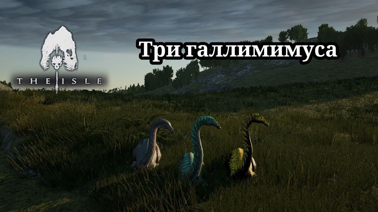 Трое галлимимусов || The Isle Legacy || #2  (Галлимимус)