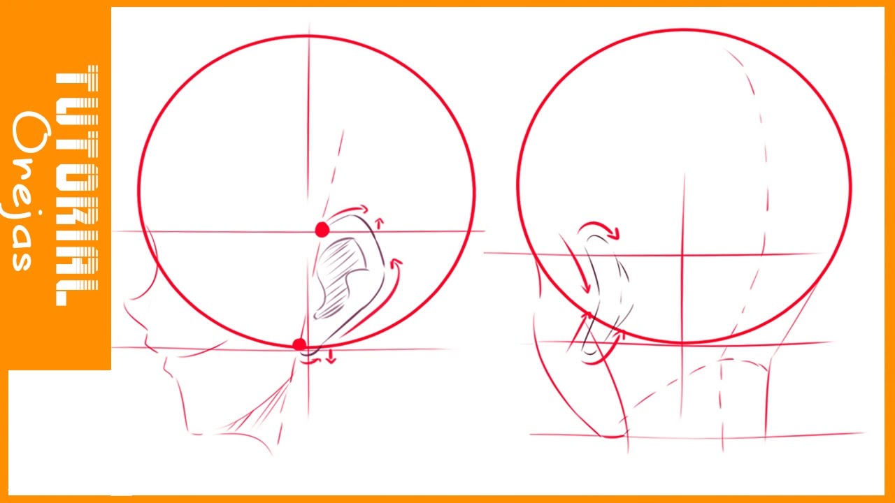 TUTORIAL DE DIBUJO #3 /Como dibujar orejas estilo anime