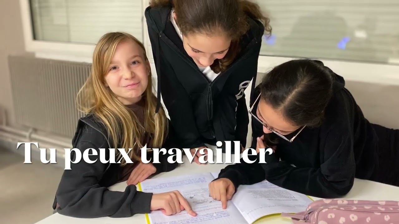 Journée Portes Ouvertes 2026 collège Guy Mollet @villedelomme : on vous attend !