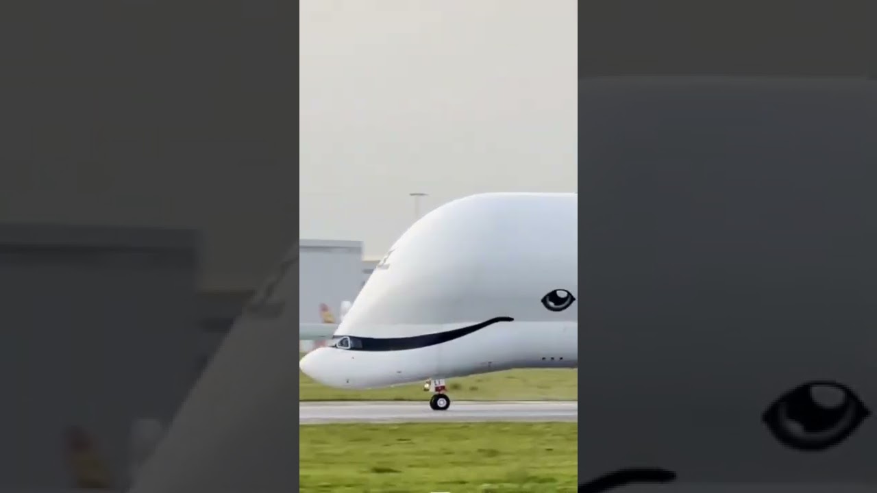 #Airbus #Beluga