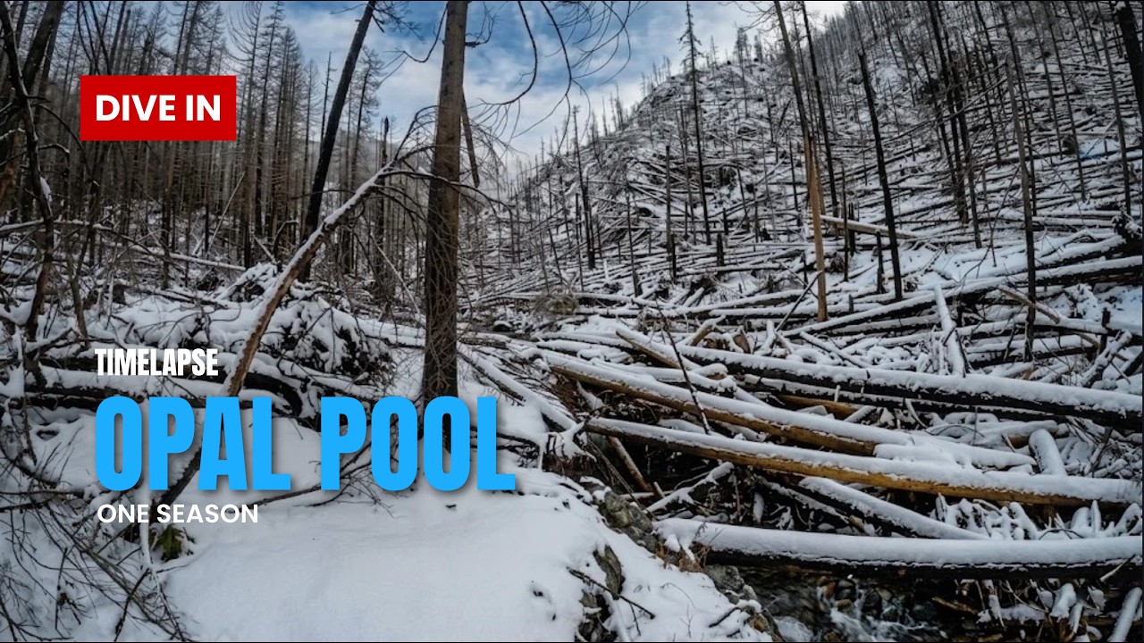 Opal Pool Time Lapse