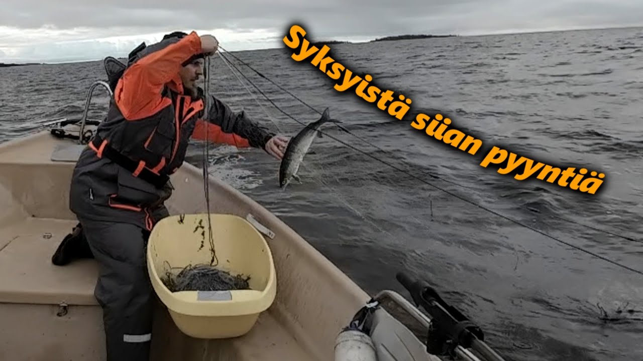 Siikaverkoilla Syksy 2023