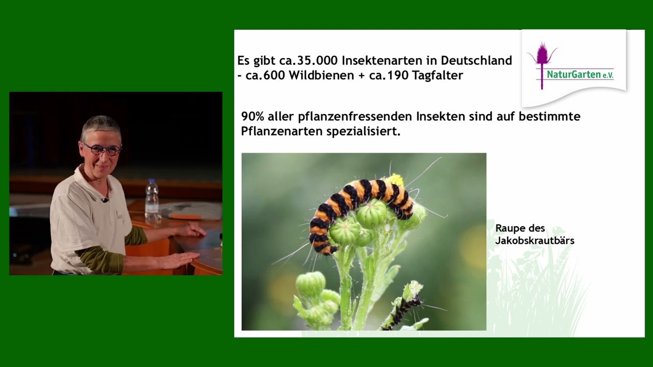 [SGF 2025]  Susan Findorff,: Faszination Naturgarten- lebendige G&auml;rten f&uuml;r Mensch und Tier