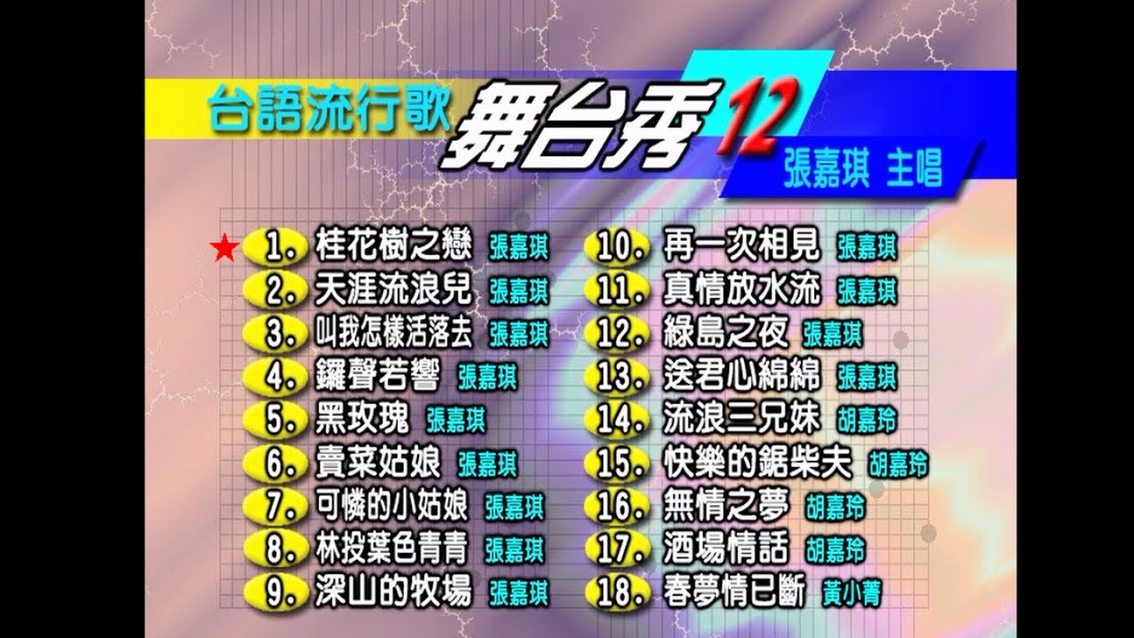 張嘉琪 - 台語流行歌 舞台秀 12
