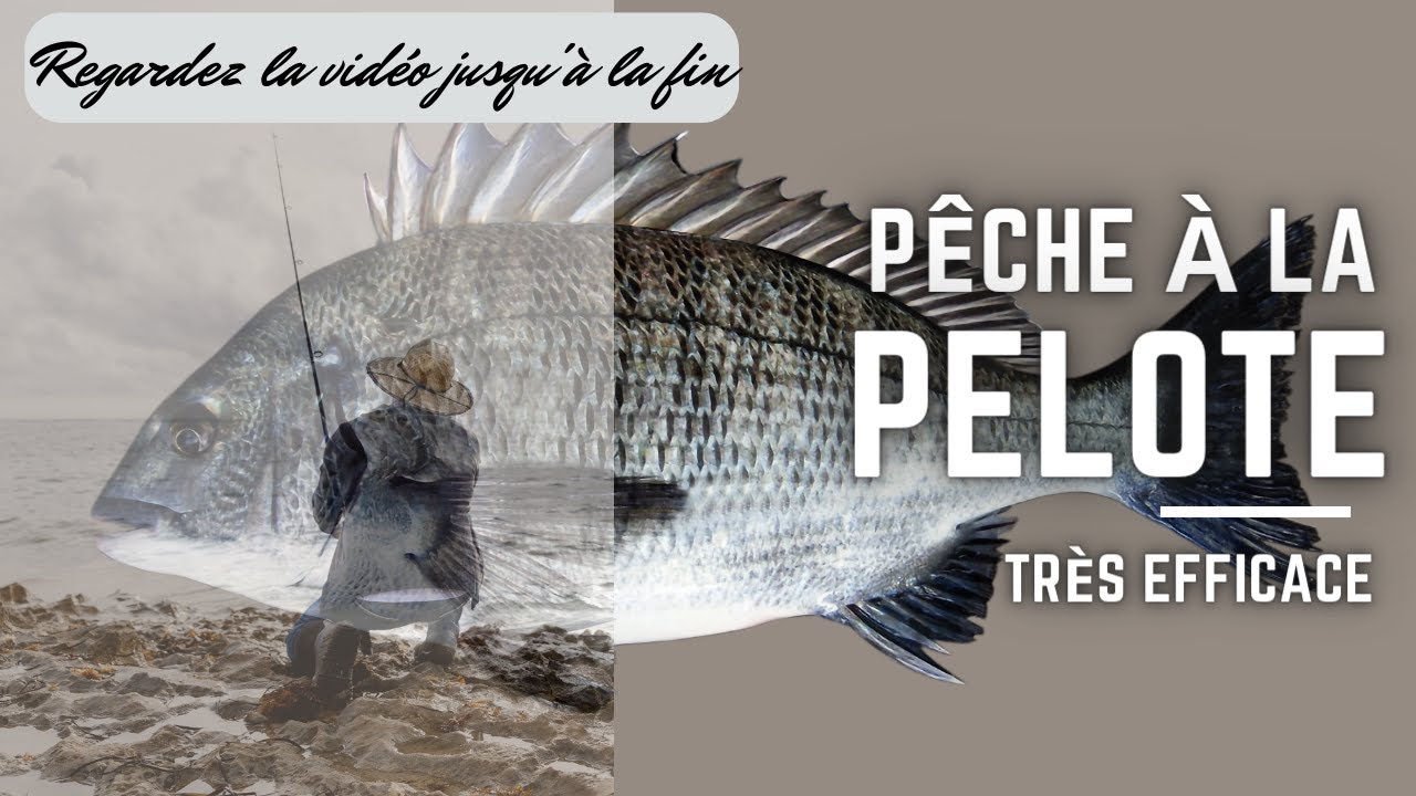 La pêche en bord de mer pour les débutants  : la pelote.