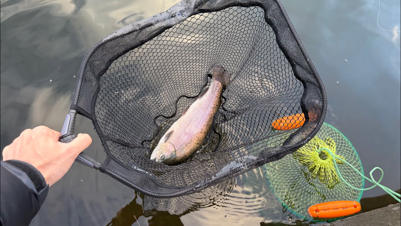 【作業用】釣りに行きたくなるまったり管理釣り場の釣行動画