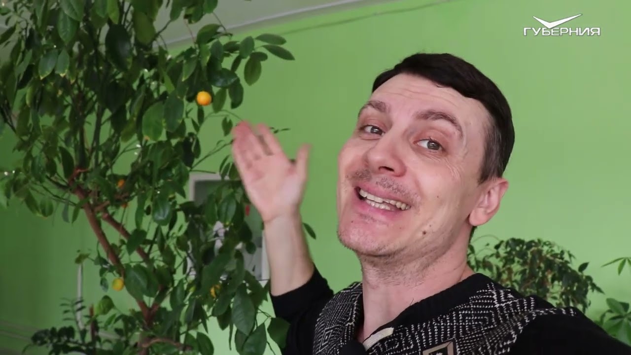 КАЛАМОНДИН - цитрусовое чудо 🌿Особенности и уход за домашними цветами 🌺