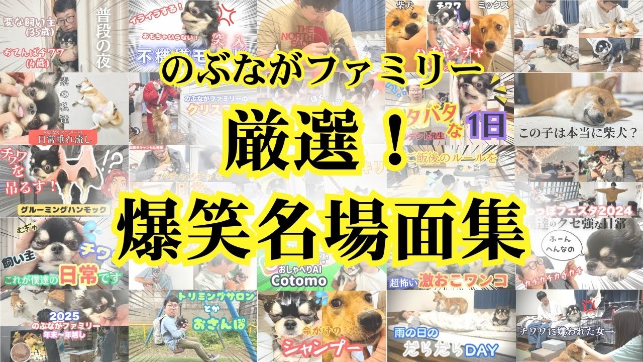 【流し見】裏方厳選！爆笑シーンを集めました！