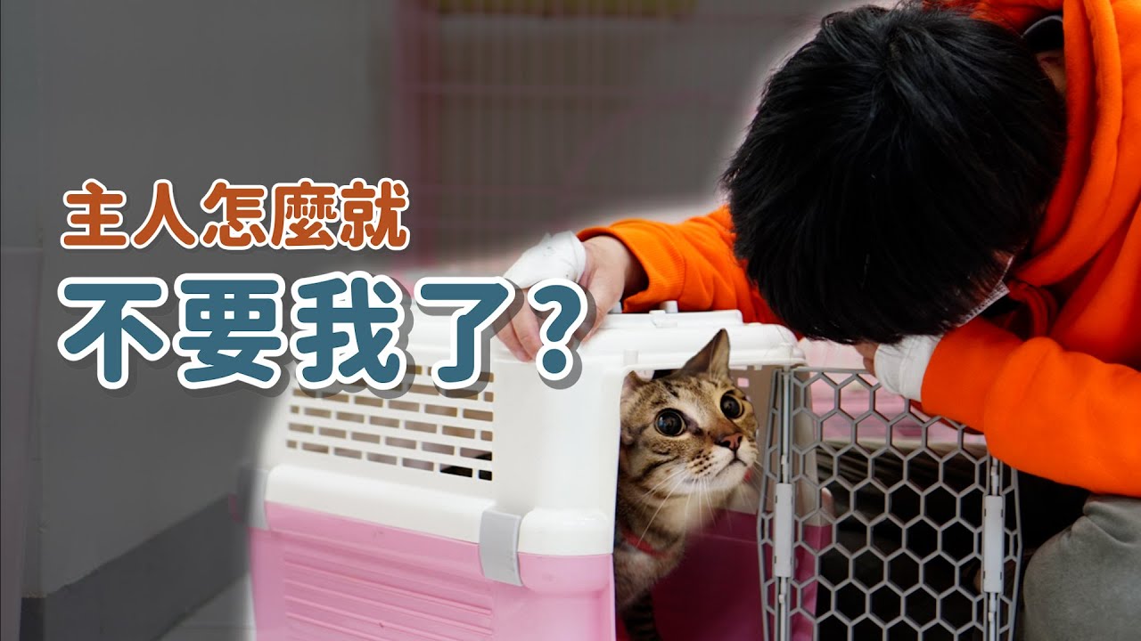 「主人怎麼不要我了…」什麼原因養一年多不養了？｜等一個家
