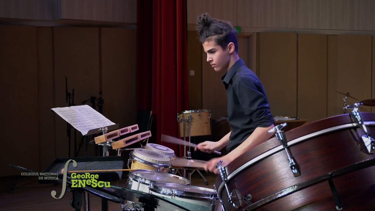 Siegfried Fink - Sudden Change (performed by Toma Cosac, 14 years old)