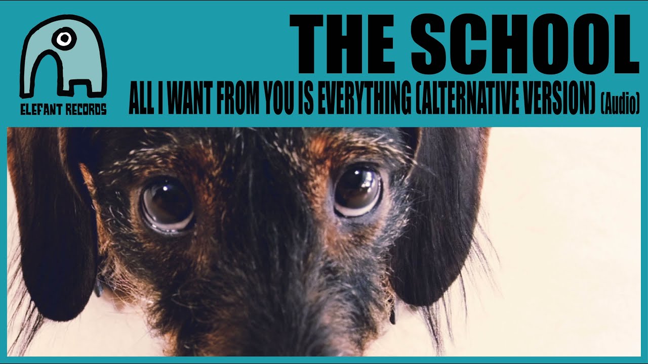 THE SCHOOL - All I Want From You Is Everything (Alternative Version) [Audio]