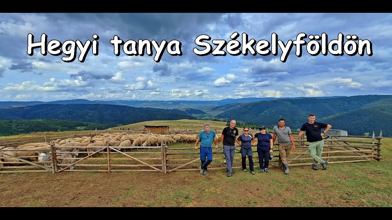 Medvék - farkasok - juhászok - kutyák! Egy esztenát kerestünk fel a hegyek tetején Székelyföldön