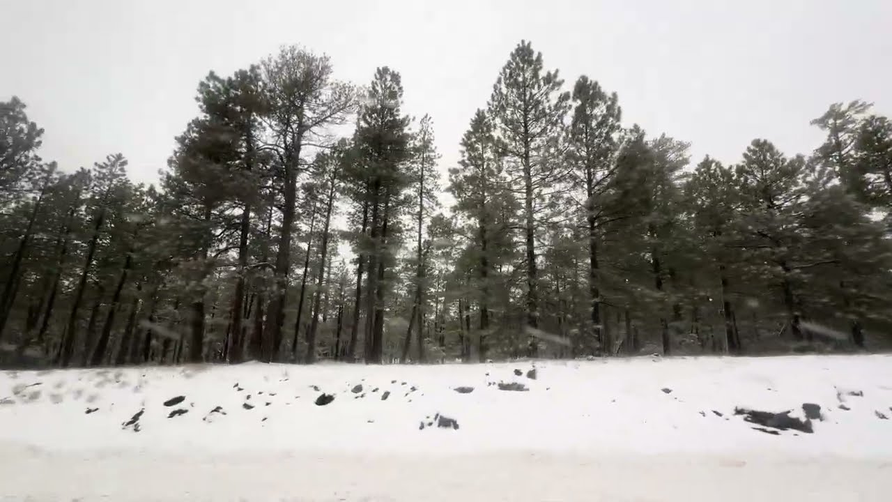 An amazing view of the snow in flagstaff Arizona 