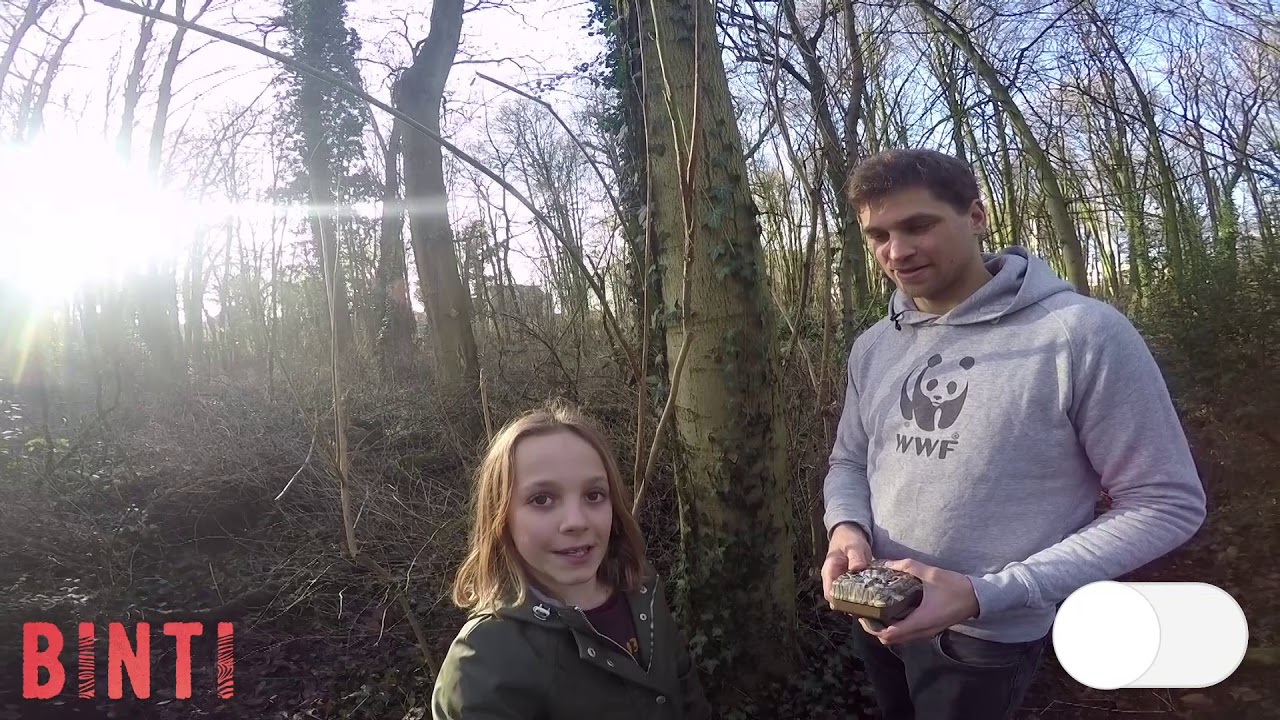 Hoe werkt een cameraval?