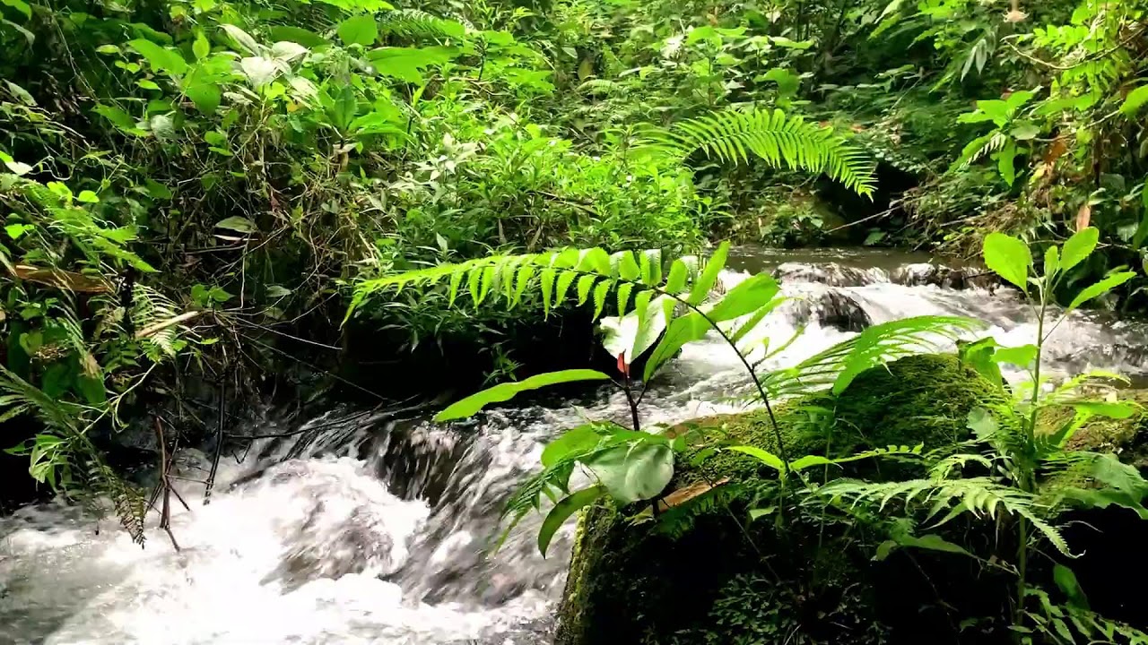 Quiet Mountain River with Meditative Background Noise for Deep Sleep & Tension Release