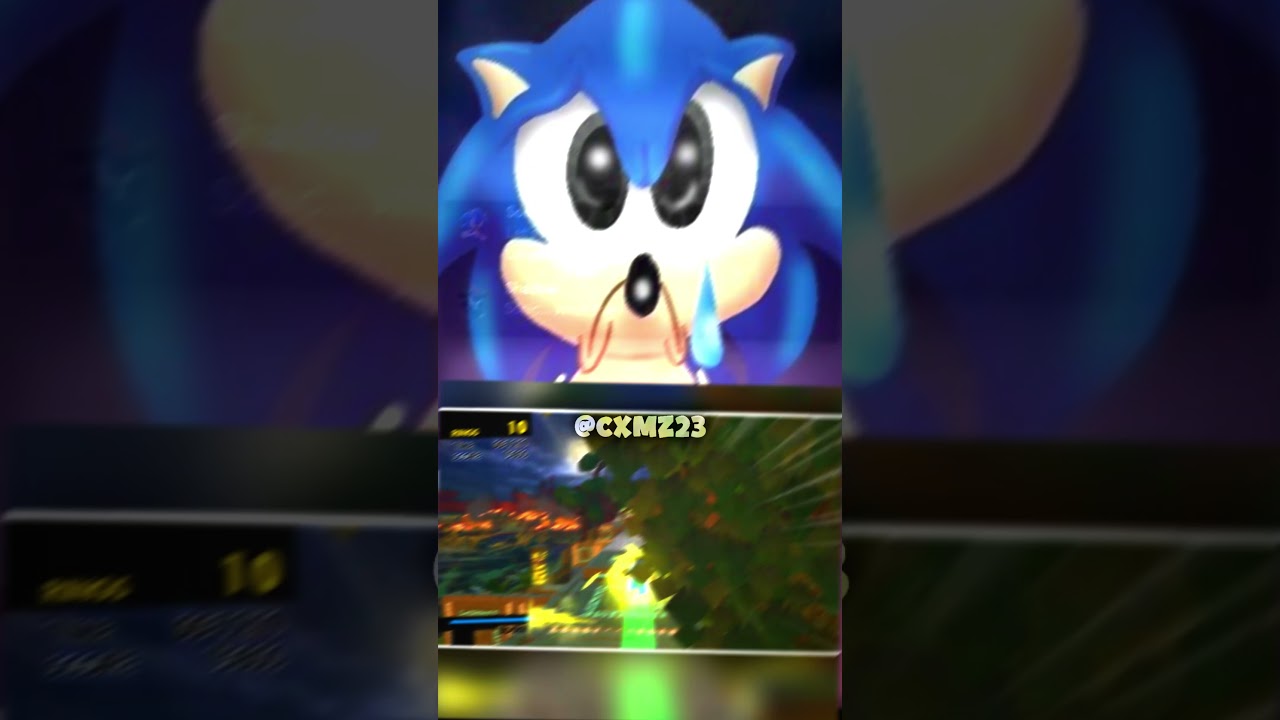 Sonic has a Question...