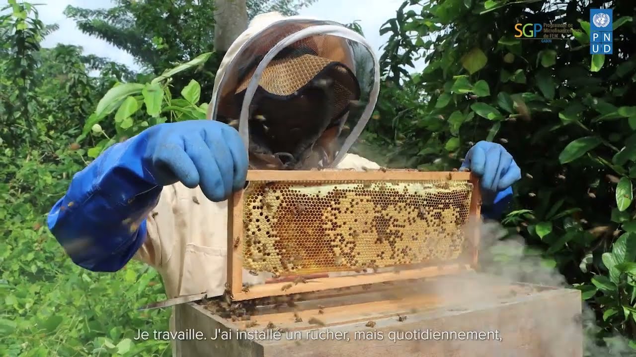 Projet apiculture comme ambassadeur pour la préservation de la biodiversité