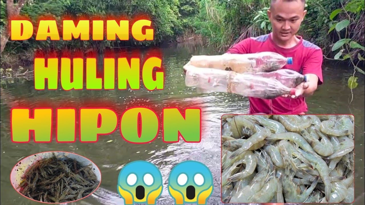 SHRIMP TRAP | Panghuhuli ng hipon | Bukid lang sakalam