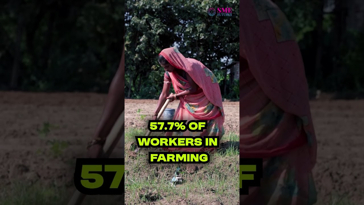 ECONOMIC SURVEY 2026- India’s Jobs Revival