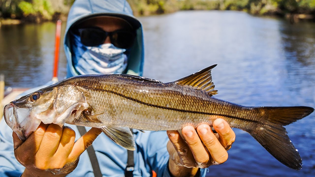 Fishing The Peace River For Snook, Tarpon, And Bass -- This Turned Into A DISASTER!!!