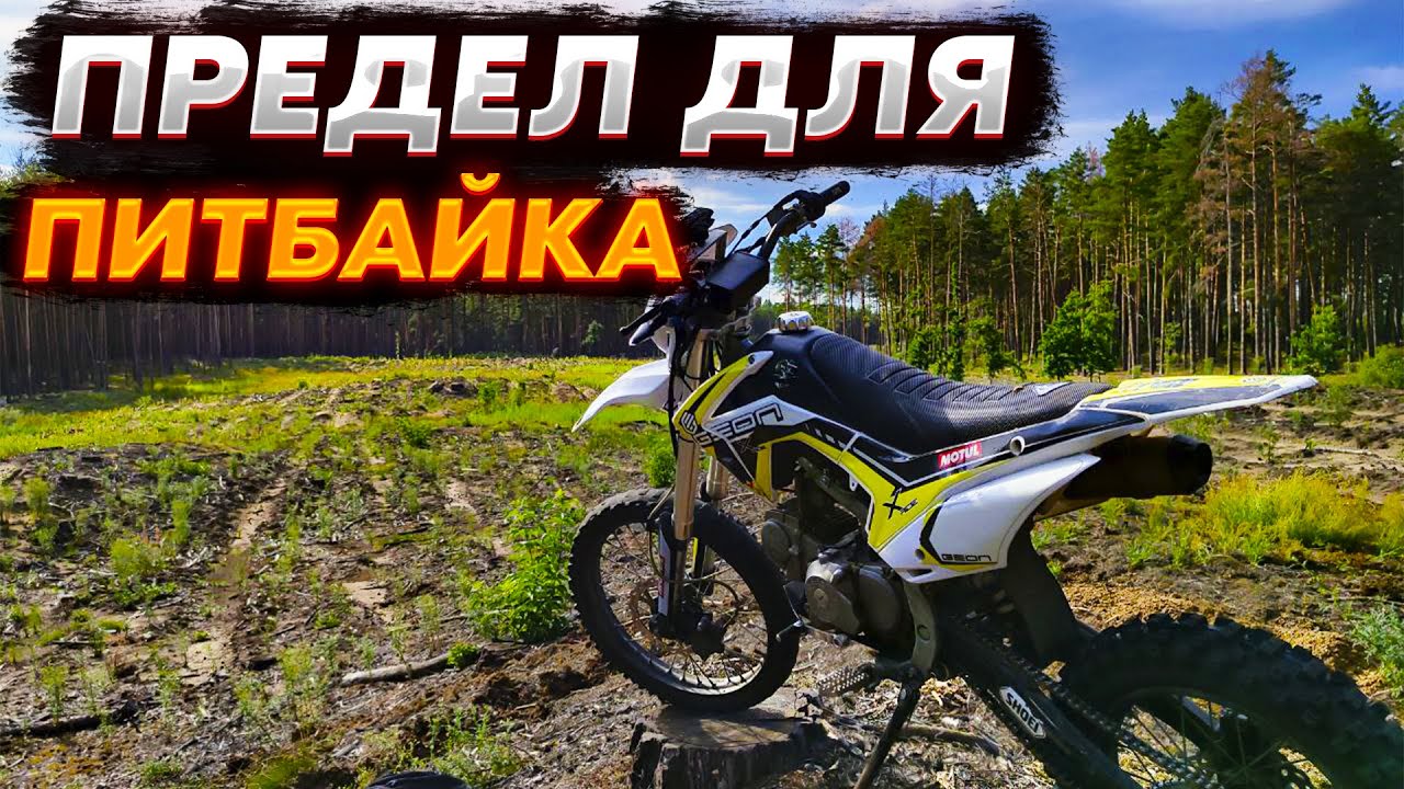 ВСЁ НА ЧТО СПОСОБЕН ПИТБАЙК В ЛЕСУ! ПЕРЕЕЗЖАЮ ЛЕЖАЧИЕ ДЕРЕВЬЯ! ПОДНИМАЮСЬ НА ГОРКИ!
