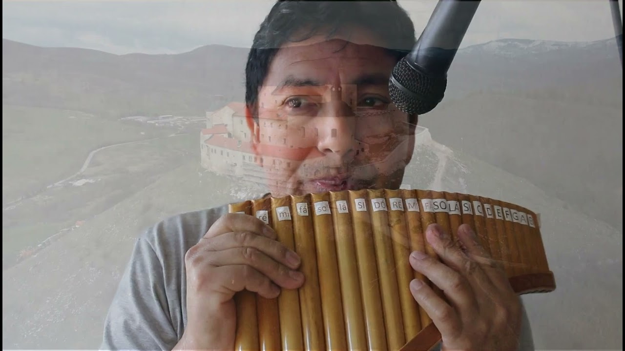 Dolannes melodie Flauta pan ( cover)