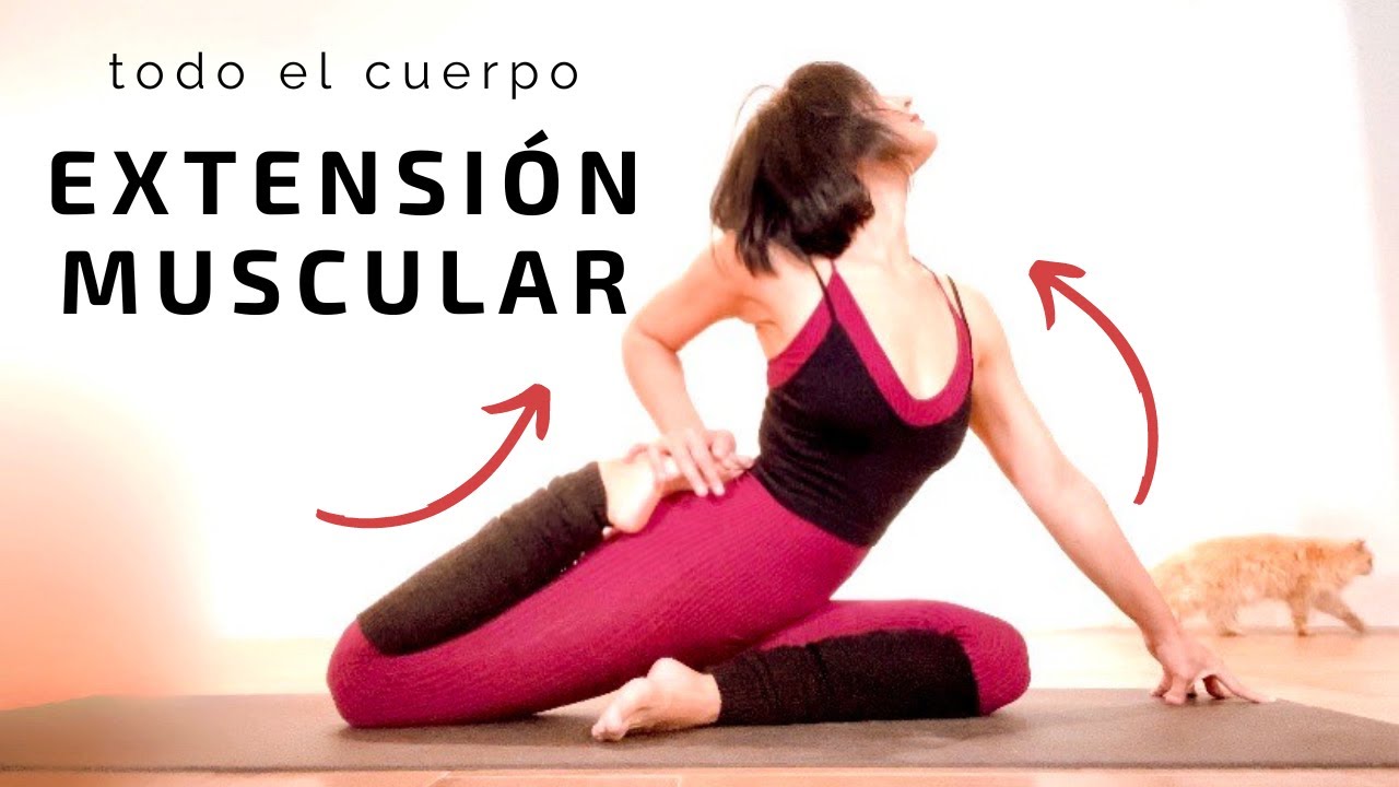 Extensión Muscular Todo el Cuerpo. Restablece todos tus músculos. Salud y Bienestar