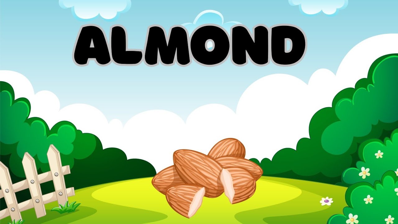 Dry Fruits | Dry Fruits Names | Learn Dry Fruits with Pictures | Know Your Dry Fruits 