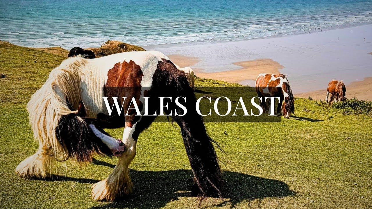 Wales Coast: Wild Ponies & Cliff Top Views (No Talking, Just Music)