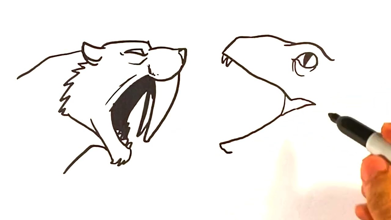 EASY How to Draw SABBERTOOTH TIGER vs RAPTOR