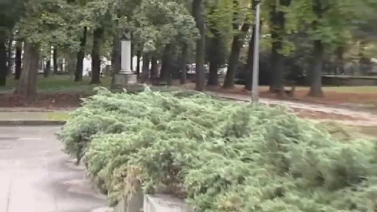 Mutasd be a Városod- Sárospatak