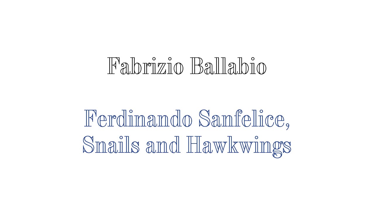 Fabrizio Ballabio - Ferdinando Sanfelice, Snails & Hawkwings.