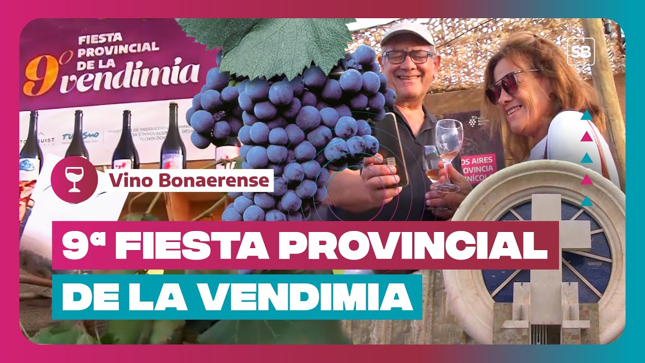 🍷 FIESTA DE LA VENDIMIA EN SALDUNGARAY