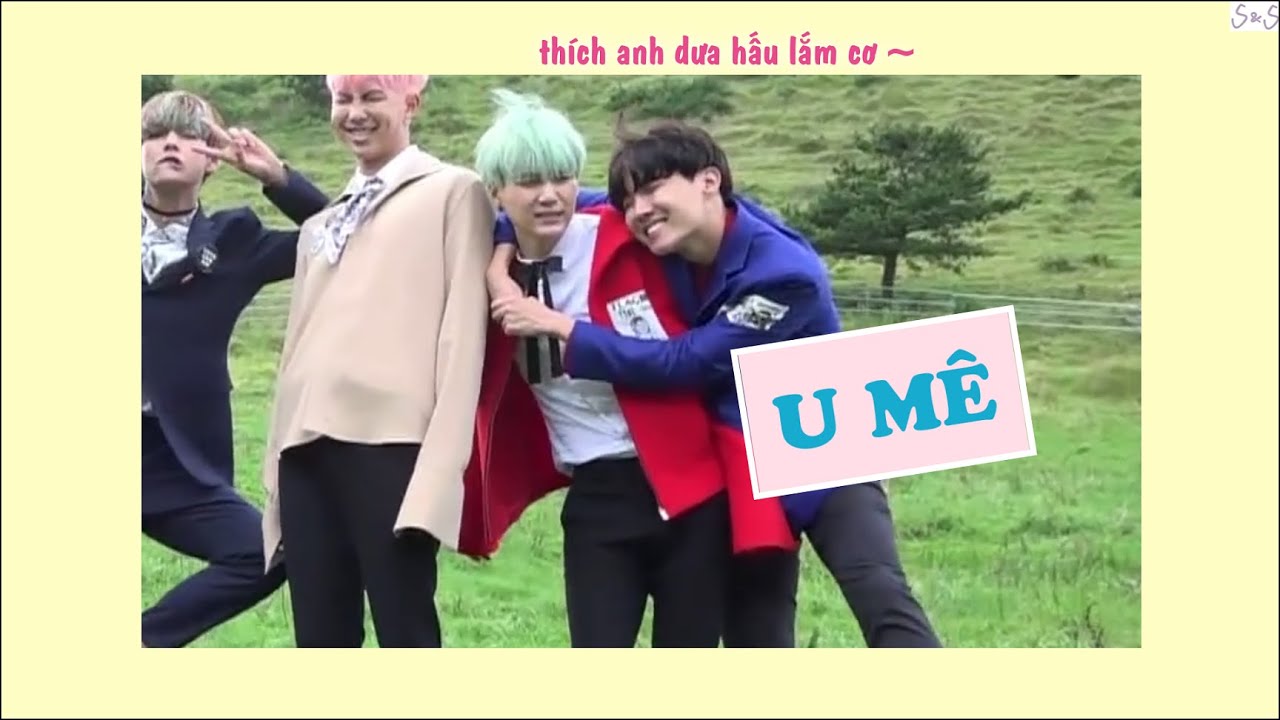 [SOPE moments] Có bạn sóc rất u mê anh mèo 😗