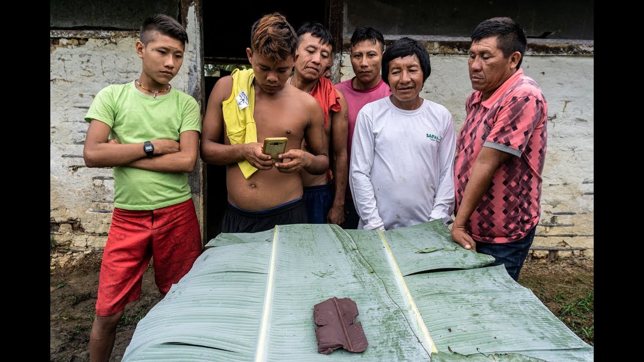 Alternativa Cacau: a história do primeiro chocolate da Terra Indígena Yanomami