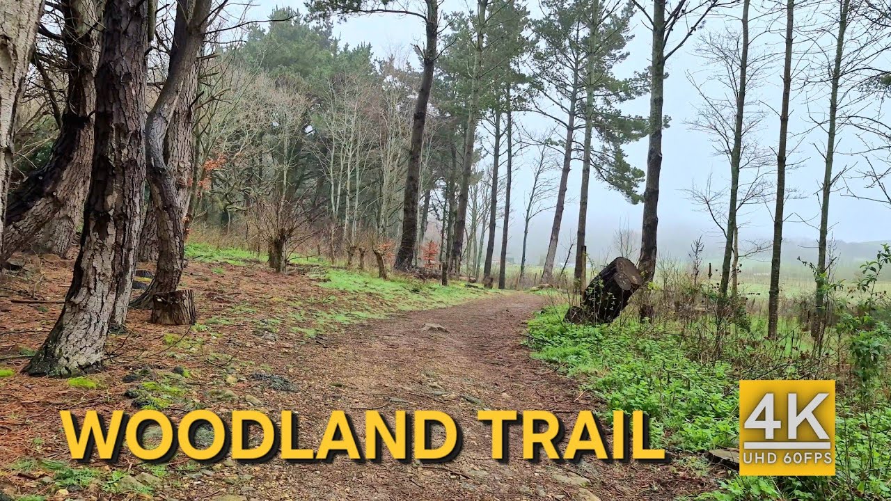 Garlic Farm Walk – Fields & Woodland Trail | Sandown Isle of Wight UK | March 2026