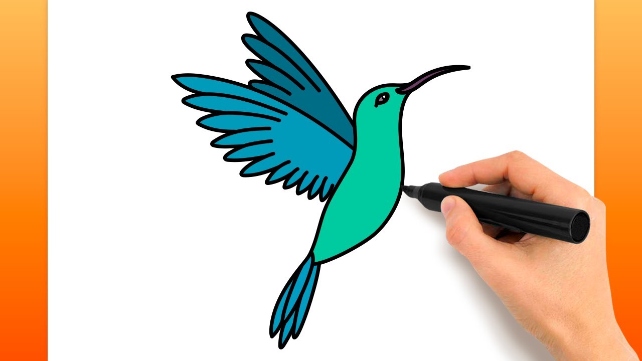 Comment Dessiner Un Colibri (Tutoriel De Dessin Facile)