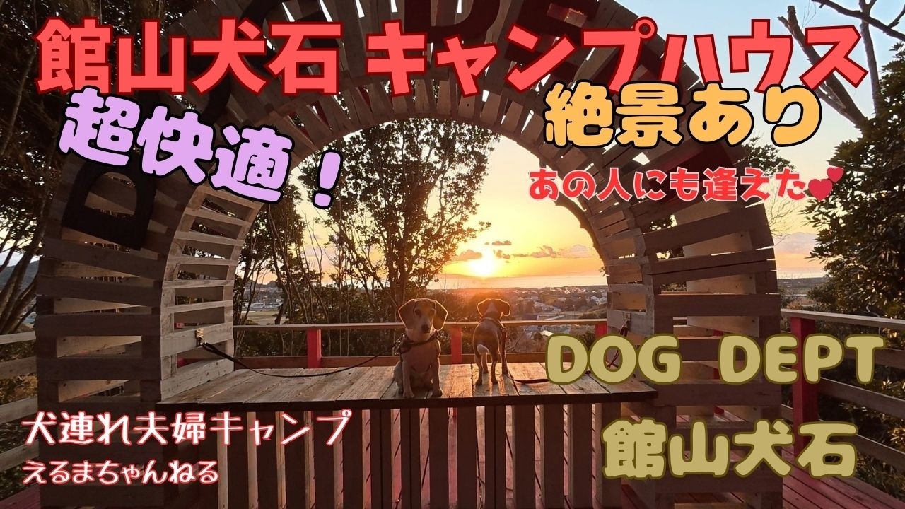 DOG DEPT館山犬石