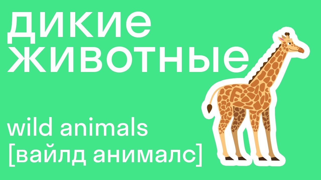 Дикие животные на английском языке, второй выпуск. Легко со skysmart!