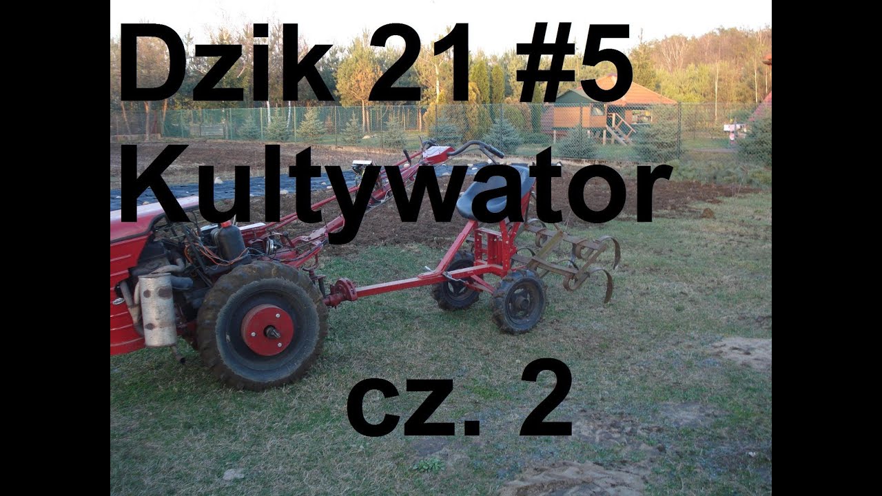 Dzik 21 #5 Kultywatorowanie cz 2