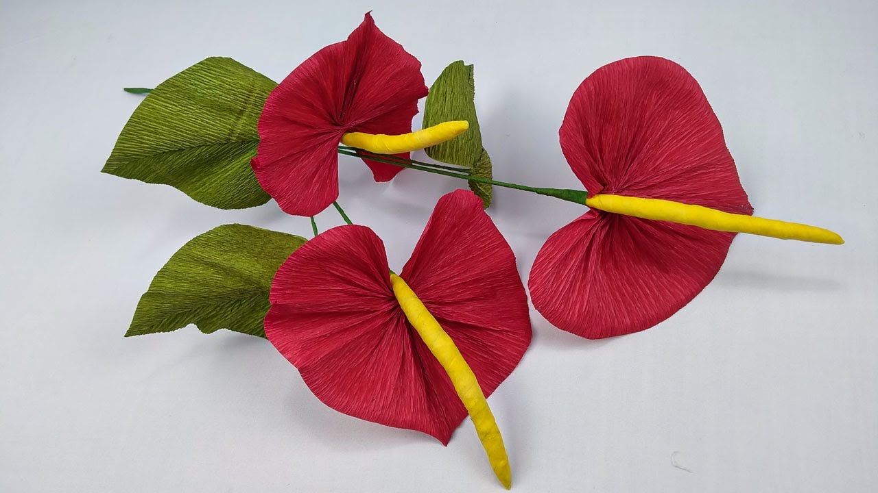 Anthuriums Flower Origami | Crepe Paper Flower