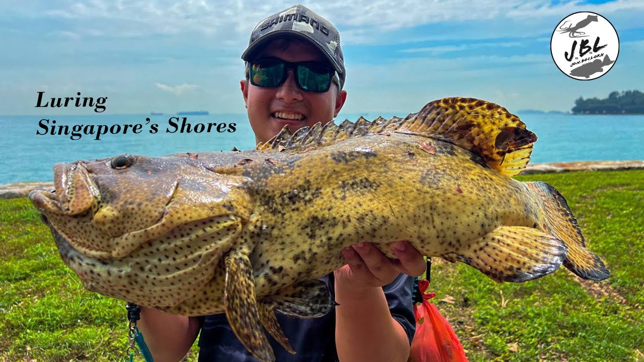 HUGE BROWN MARBLED GROUPER ON CRANKBAIT | Luring Singapore's Shores
