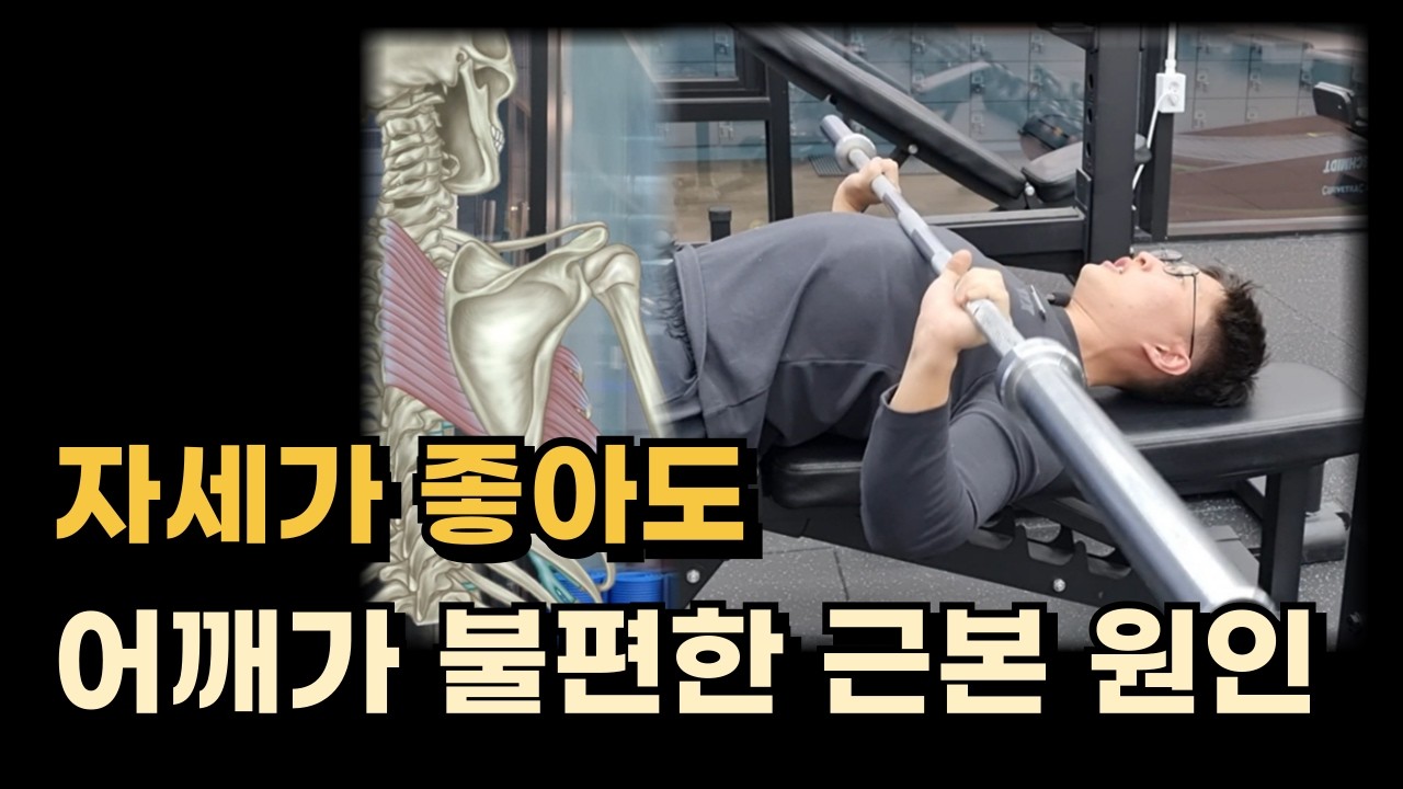 벤치프레스 자세가 좋아도 어깨가 불편한 이유(견갑골 주변 근육 세팅 방법)
