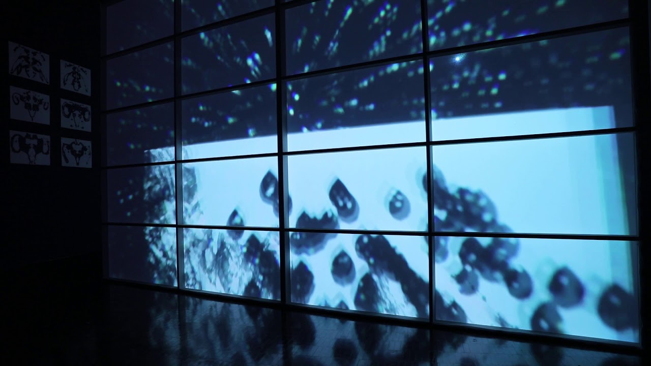 Joan Jonas「Reanimation」1 @ 京都市立芸術大学ギャラリー@KCUA
