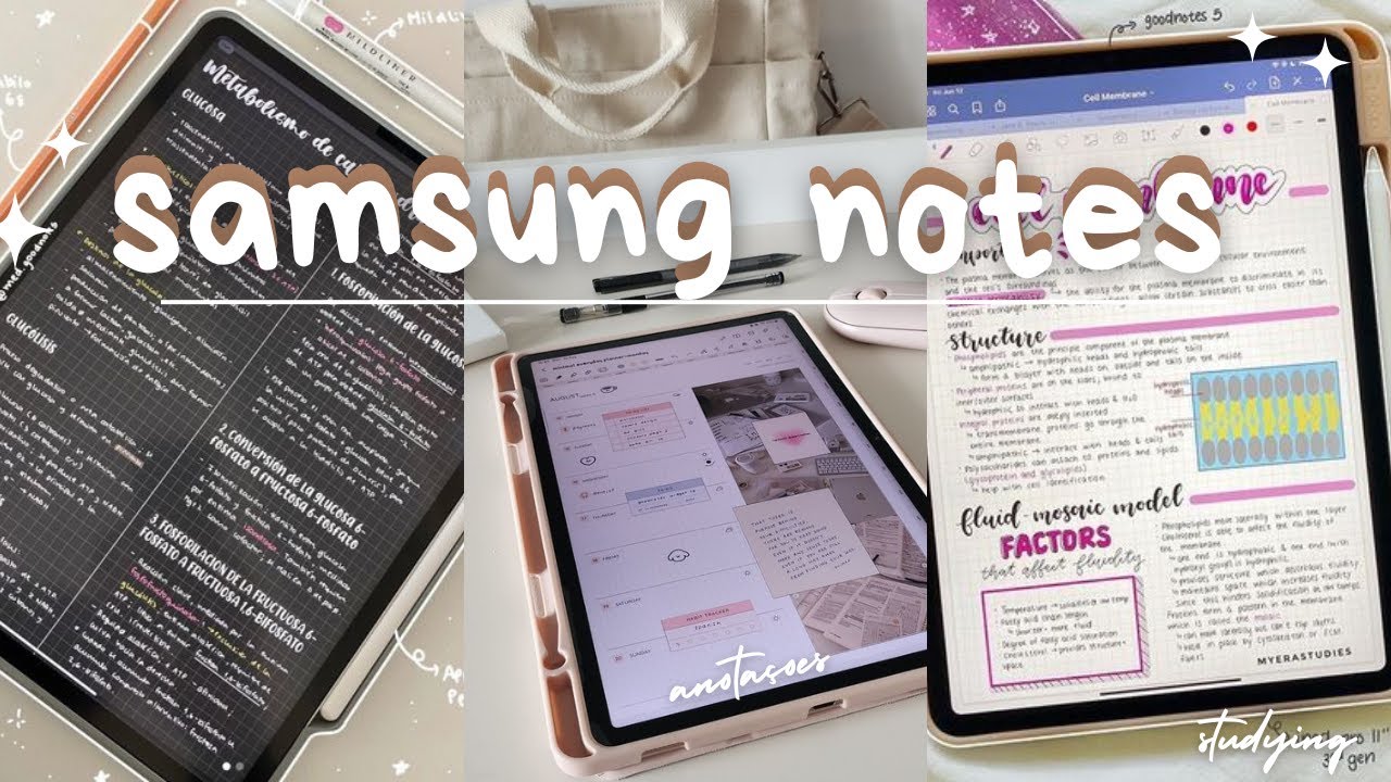 study vlog 📝 tab s6 lite (samsung notes)