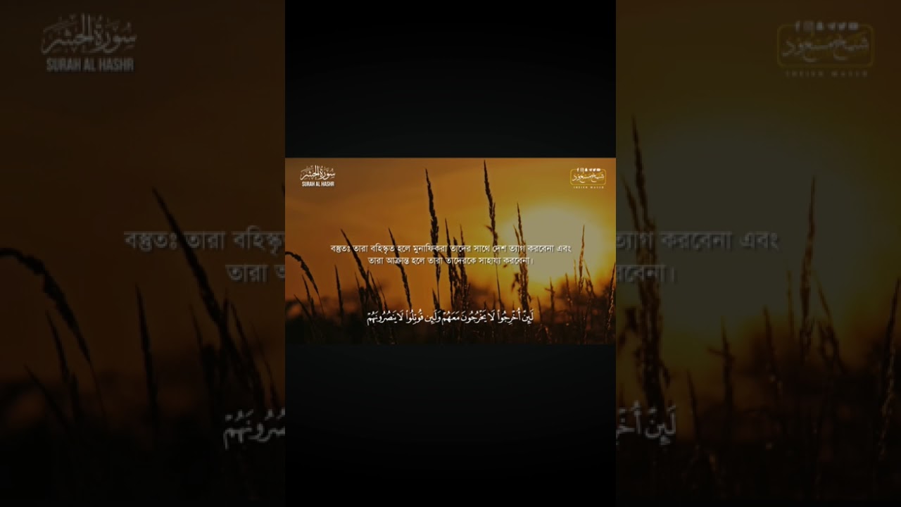 মোহাম্মদ আলম 